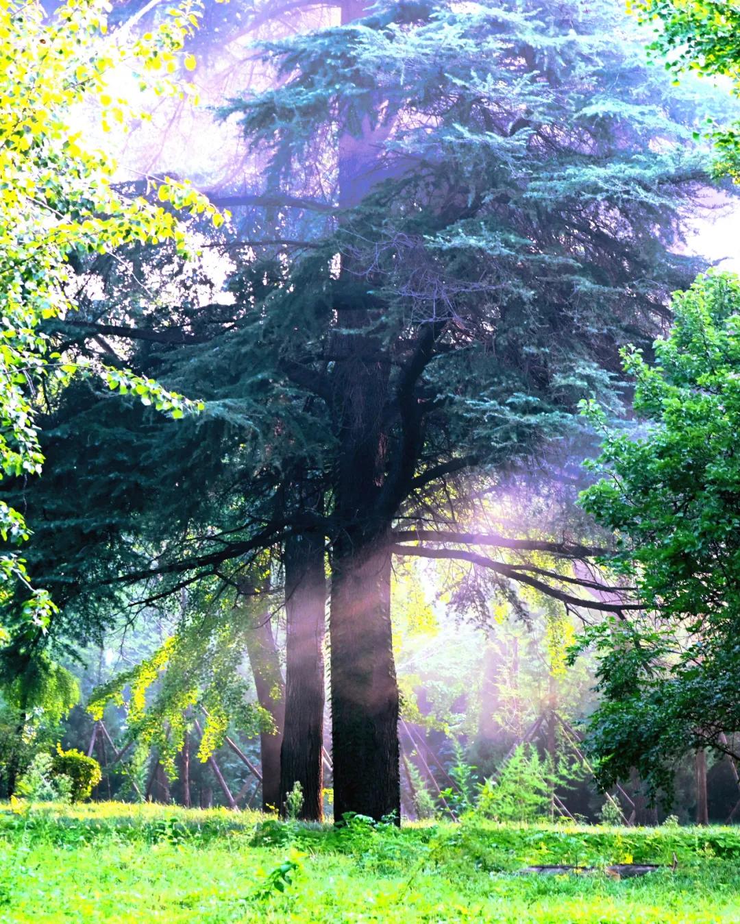 0513cc0b0376913d736354dd6b0c9635.jpg 1_ABC看图.jpg