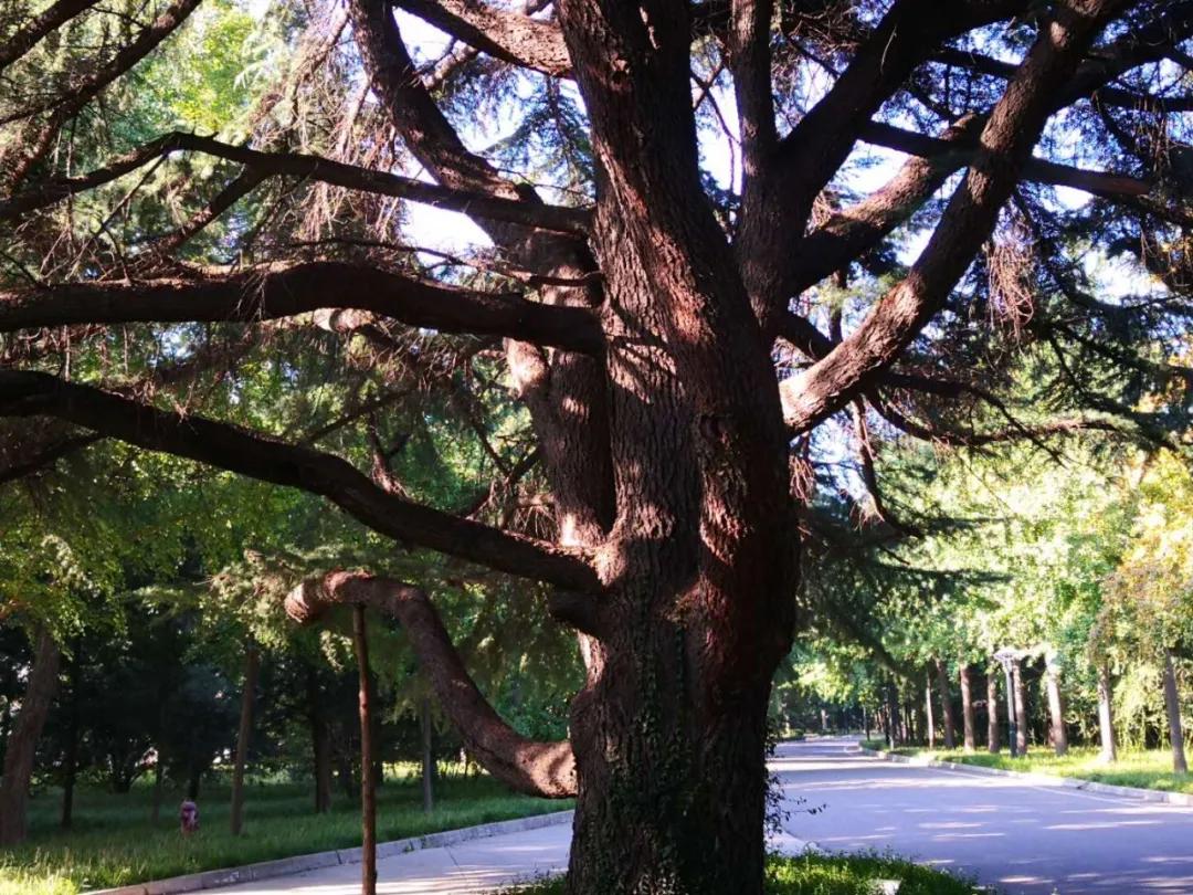 124b1ee9628a5374f0dbaf0365980f3d.jpg 17_ABC看图.jpg