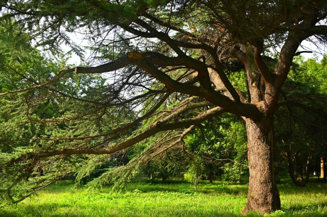 37eb16a3b459c3e4977ac652ea760861.jpg 18_ABC看图.jpg