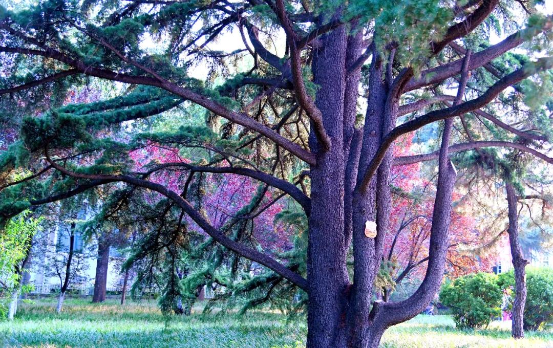 5a85247904765743a21a2e36bd69c826.jpg 23_ABC看图.jpg