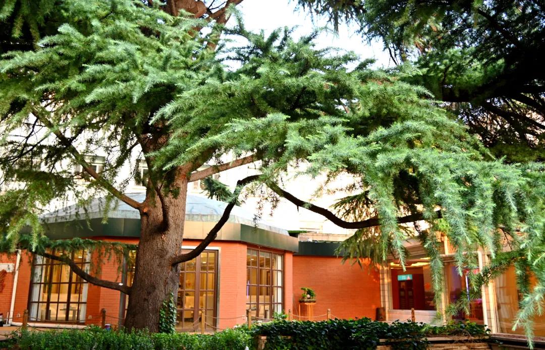 8c5a0770cf3c9700ef0c635cafca39bf.jpg 29_ABC看图.jpg