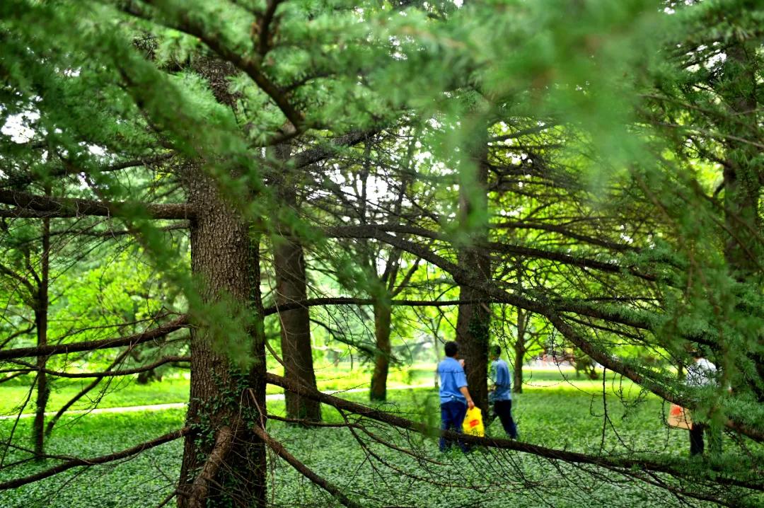 8c97bdc94710018a00eb04025c3a34ab.jpg 16_ABC看图.jpg