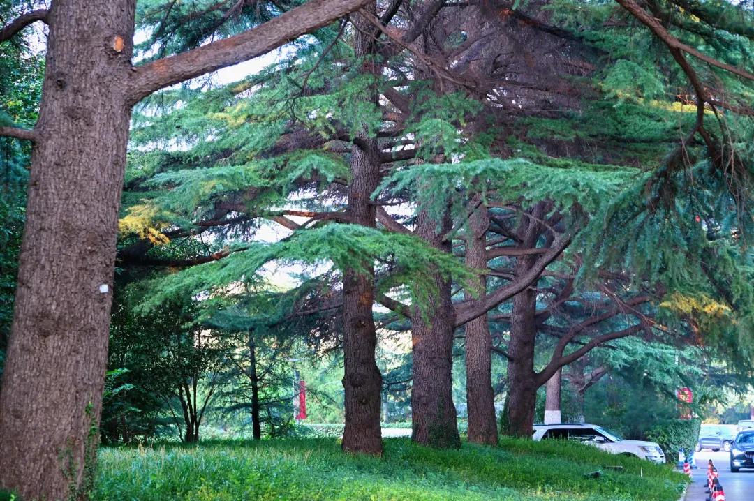 9ea86770744a44e2915fe3012cda5e11.jpg 9_ABC看图.jpg