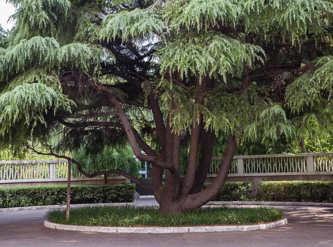 a1f3c82ce9adbdf4d44273f1f36af8d2.jpg 25_ABC看图.jpg