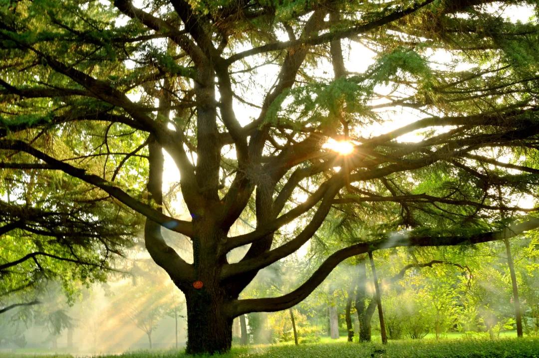 c8f7f09f878edf5246e2b10d95b9156b.jpg 3_ABC看图.jpg