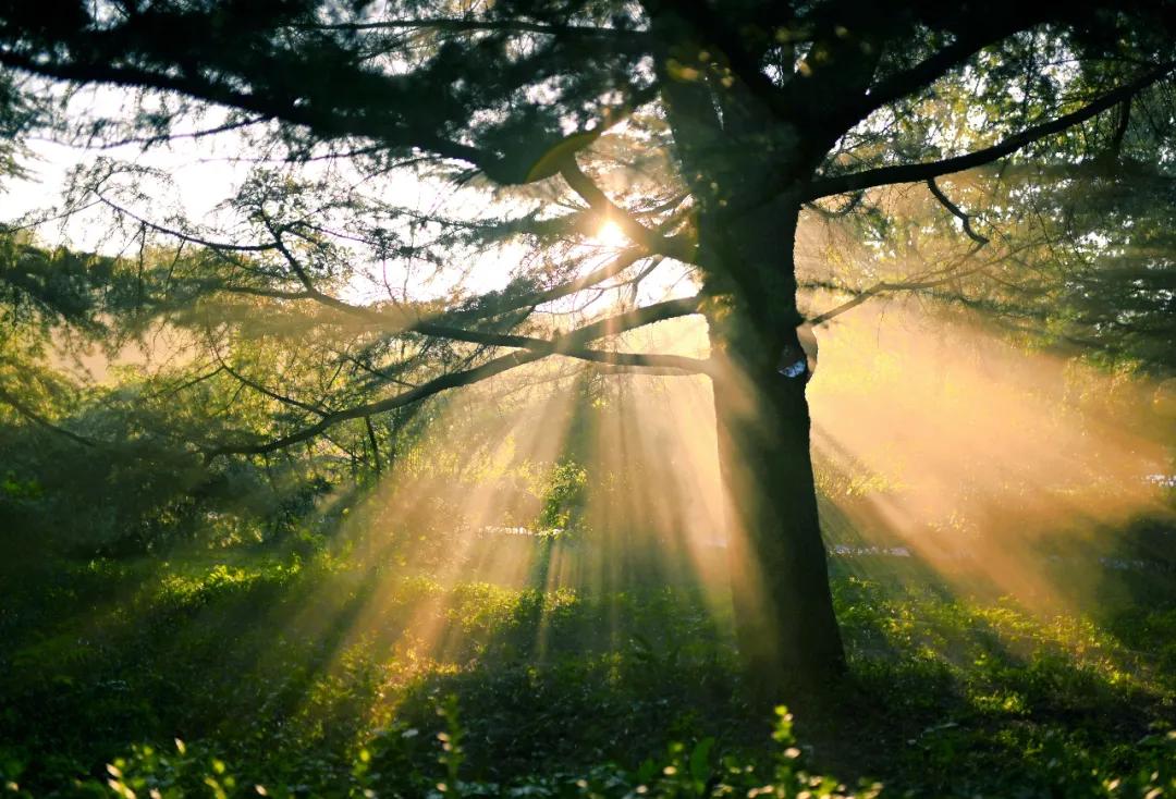 e6e3b1c2c19fecf3d0eca167b03f093c.jpg 8_ABC看图.jpg