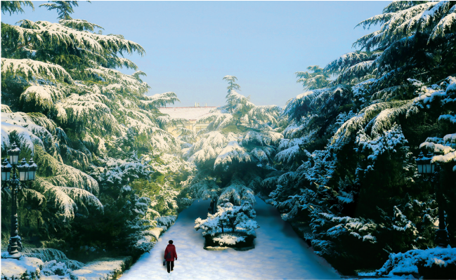 ee587e8345983a31e8fc84e313390ab3.png 27.png