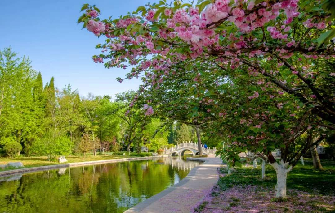 b1c693adff616c45a9602131f37d1375.png 图片1.png