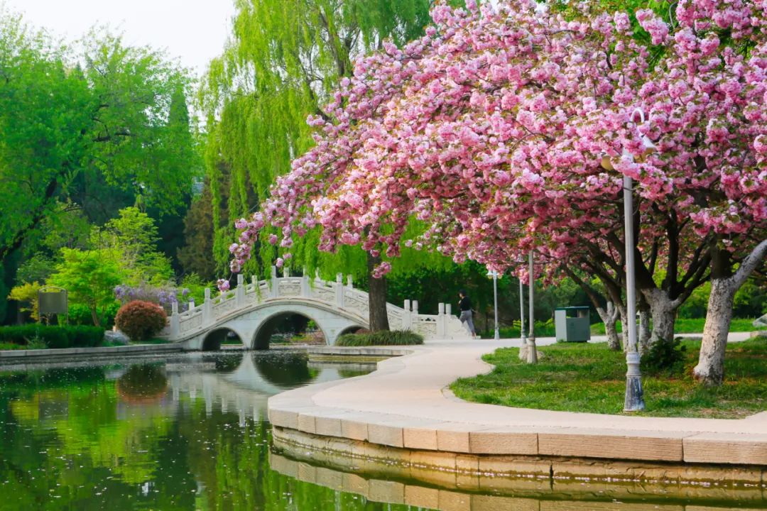 cf715d6a33b4a2757fbda15a044bcf3d.jpg 4.jpg