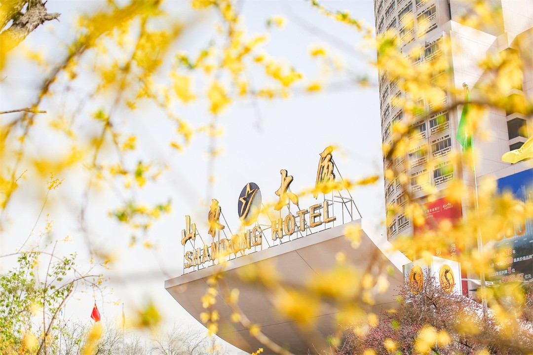 dd68ea3e5e36acd669df6407509a6a1b.jpg 2U1A2385.jpg