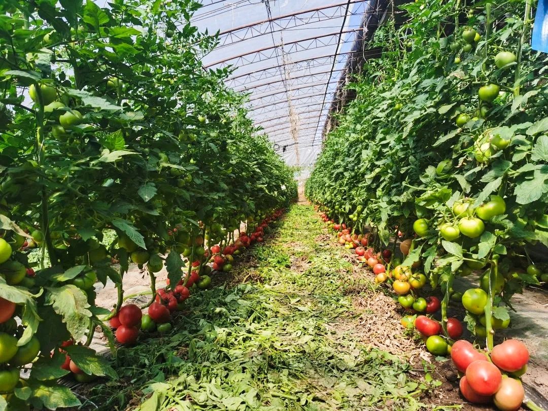 8cc9ce574ee26df3cceb624d067050f1.jpg 图片2_副本.jpg